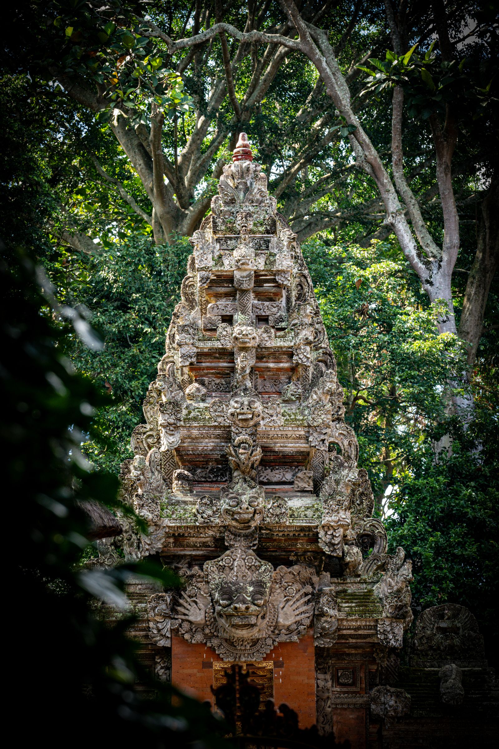 Ubud jungle terraces with morning mist