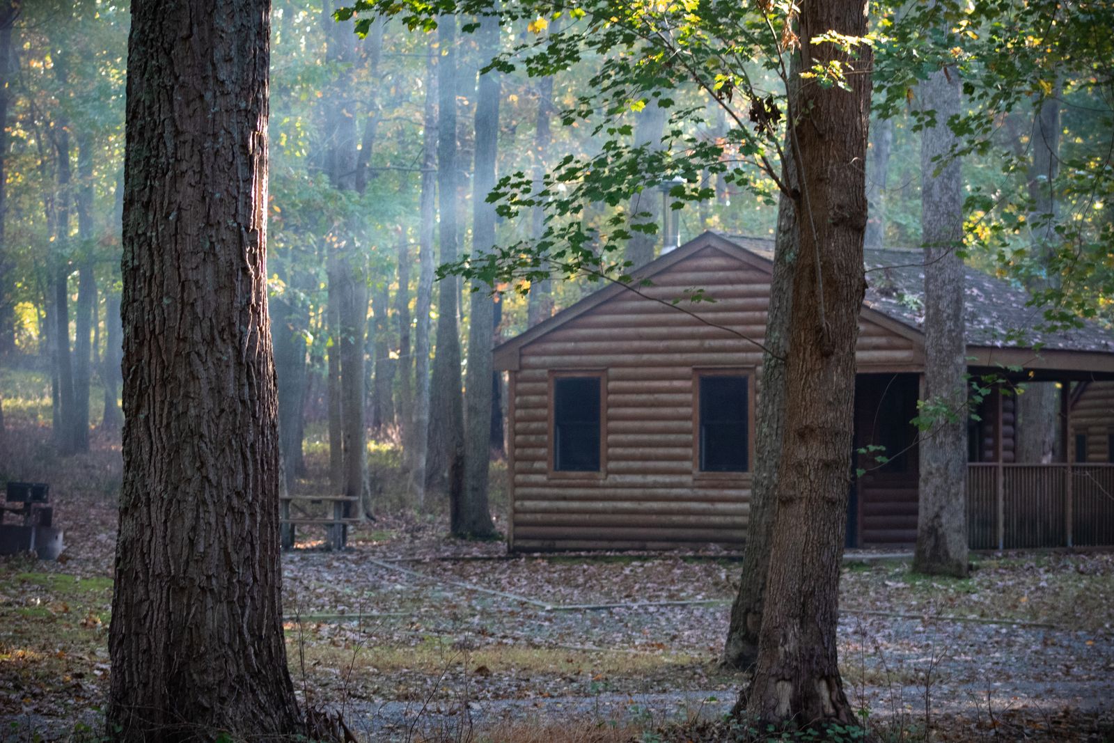 Wooden cabin at the edge of a Nordic forest